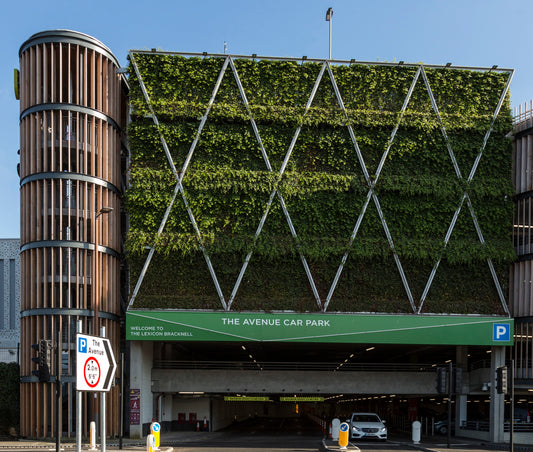 Embracing Vertical Greenery by Optimizing Space and Sustainability